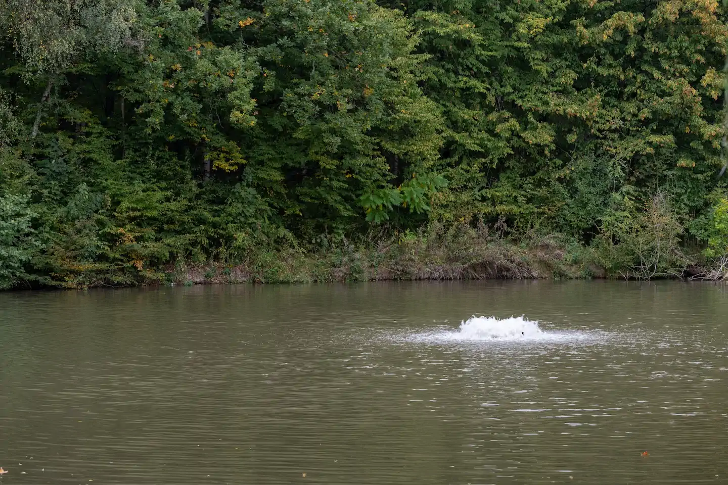 lake aeration systems installation maintenance services memphis water gardens 1