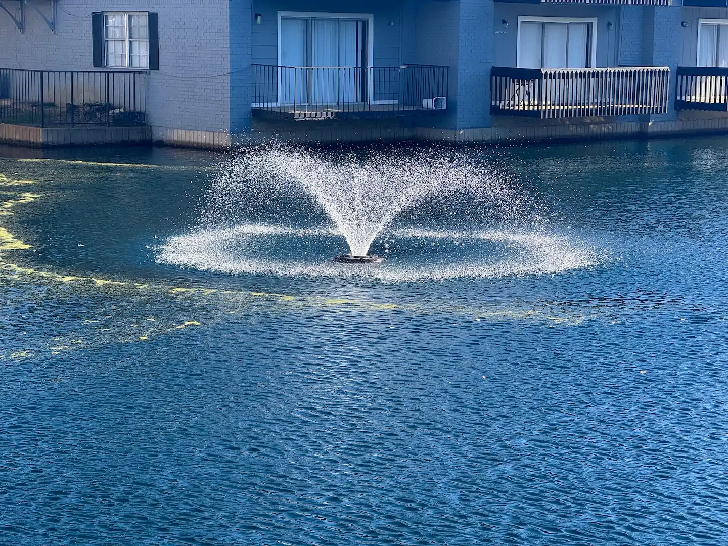 lake algae control memphis water gardens 1