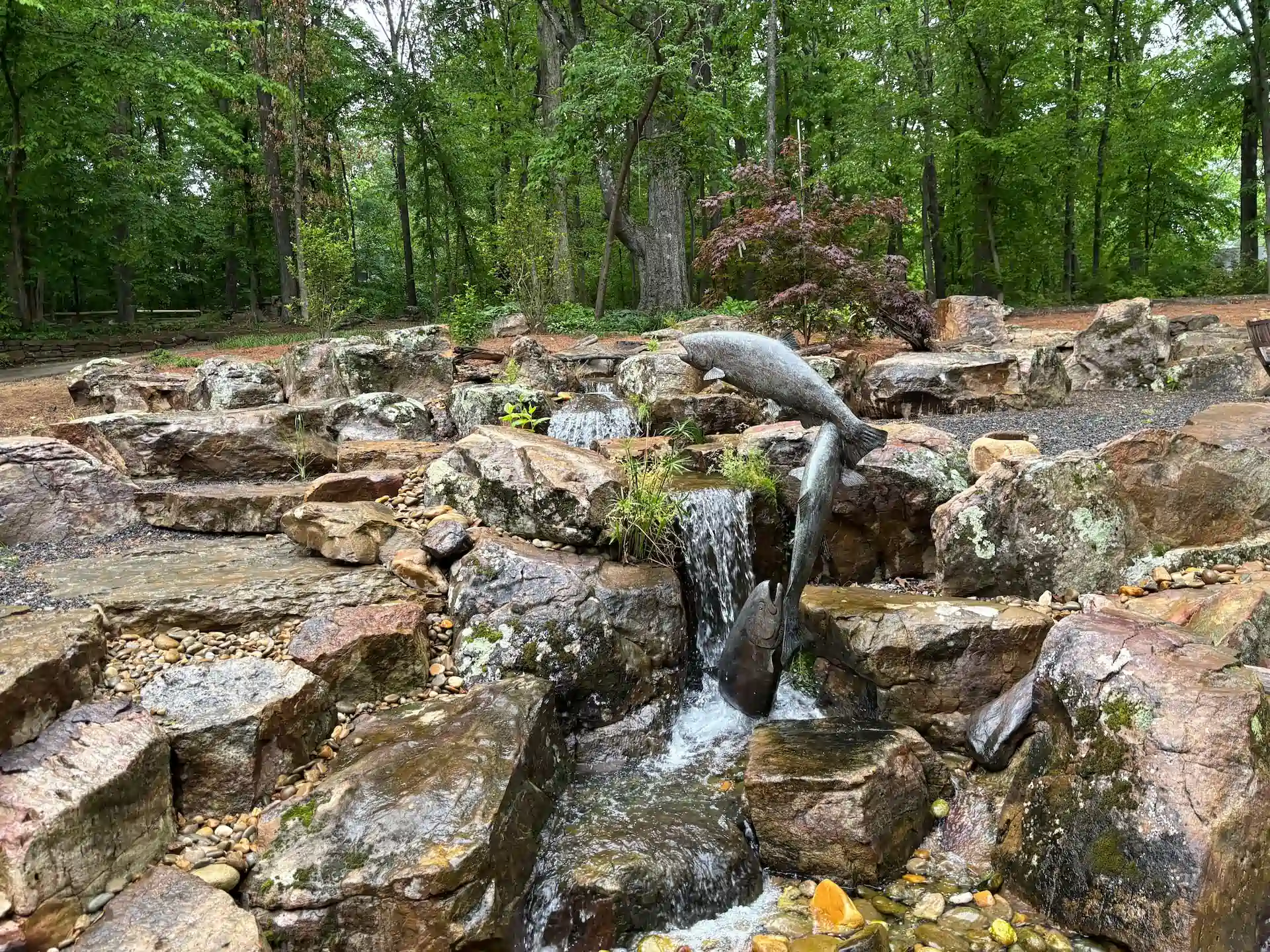 large memphis water garden design installation 1