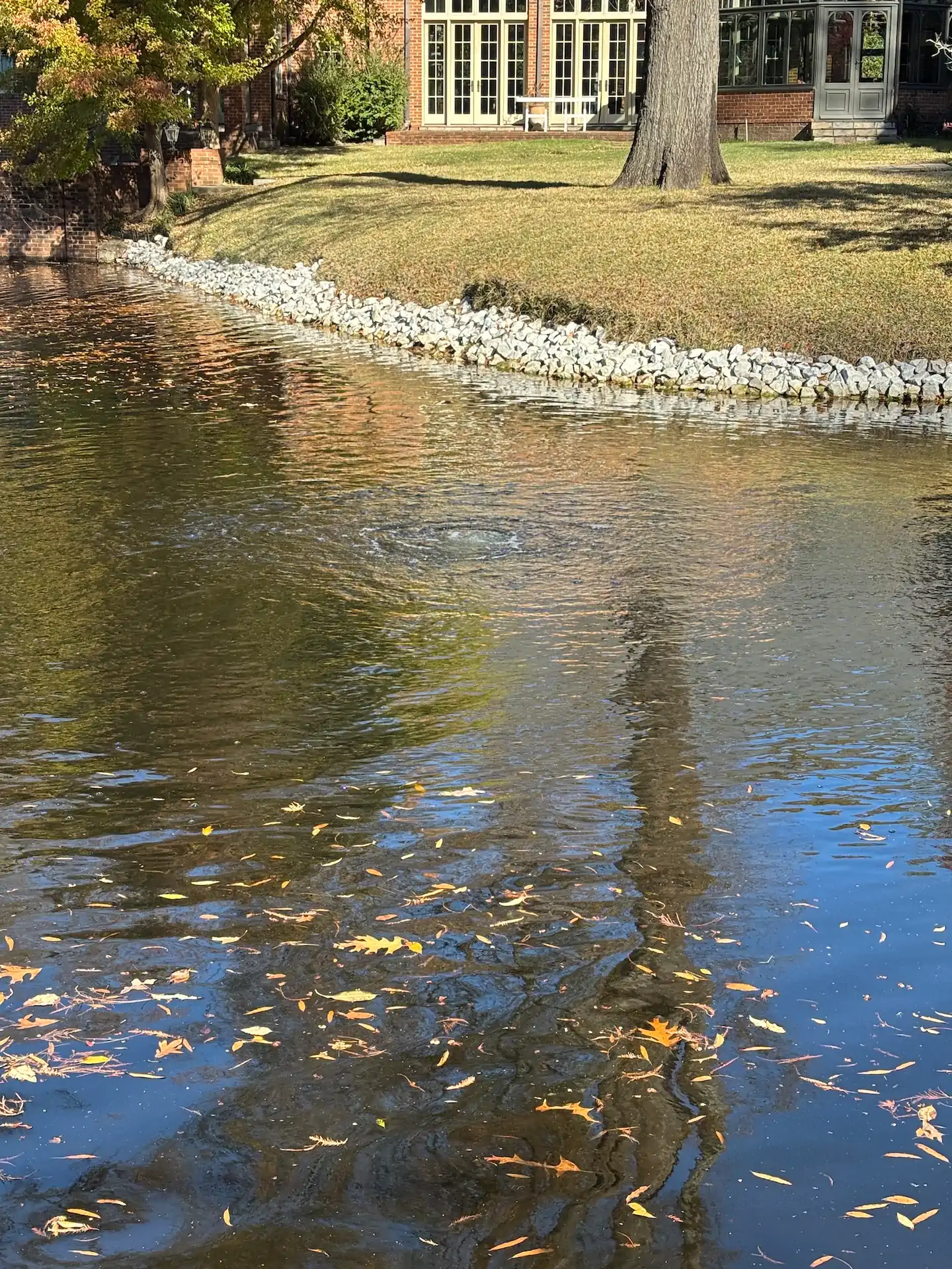 memphis lake aeration systems installation maintenance memphis water gardens 1