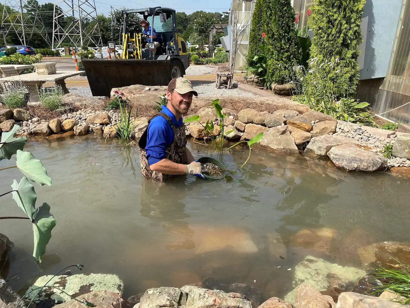 memphis pond water garden cleaning with our owner Frank Roberts