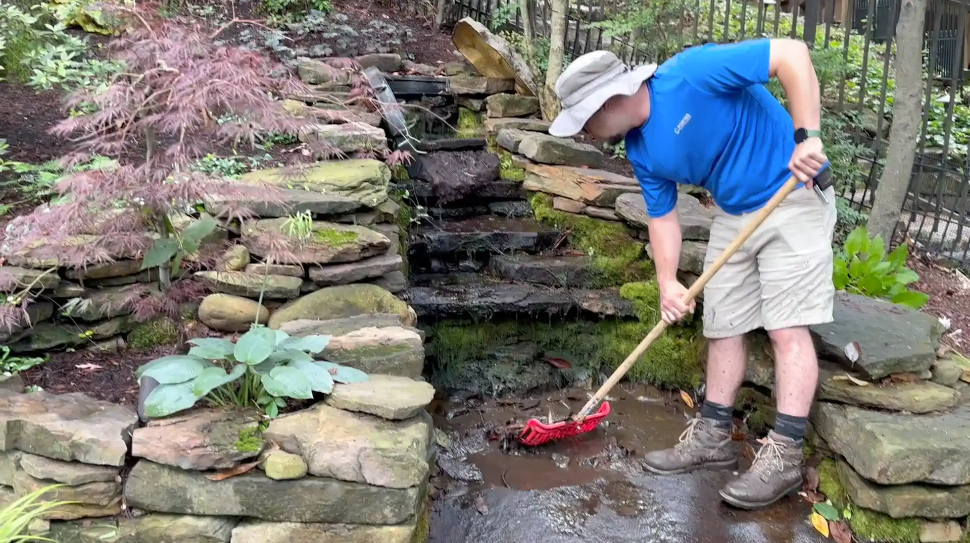 pond cleaning maintenance memphis water gardens 1