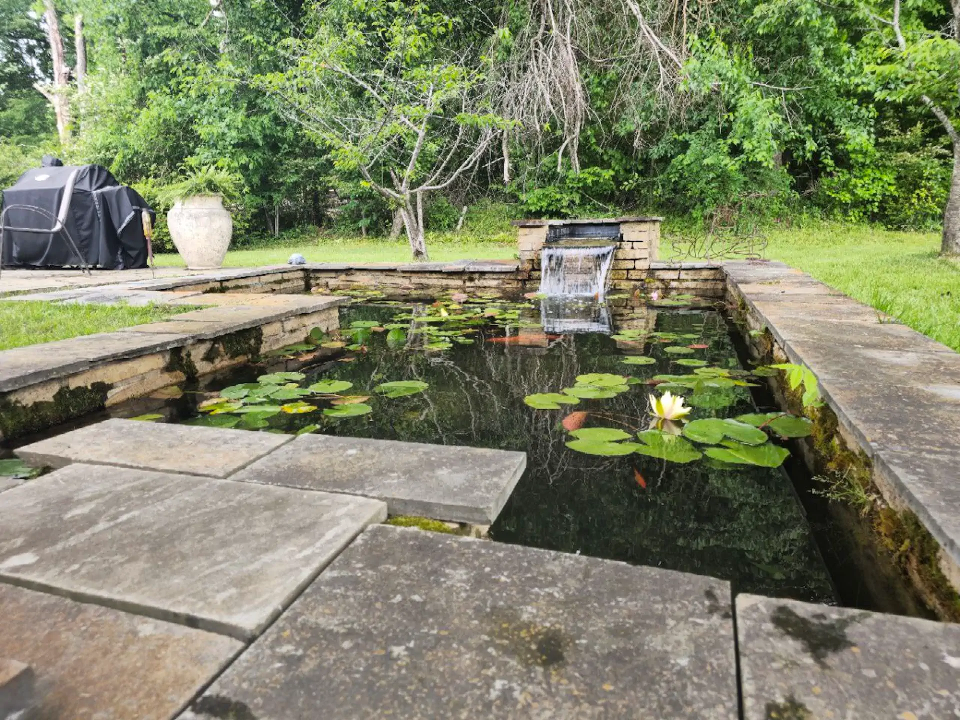 pond repair memphis water gardens 3