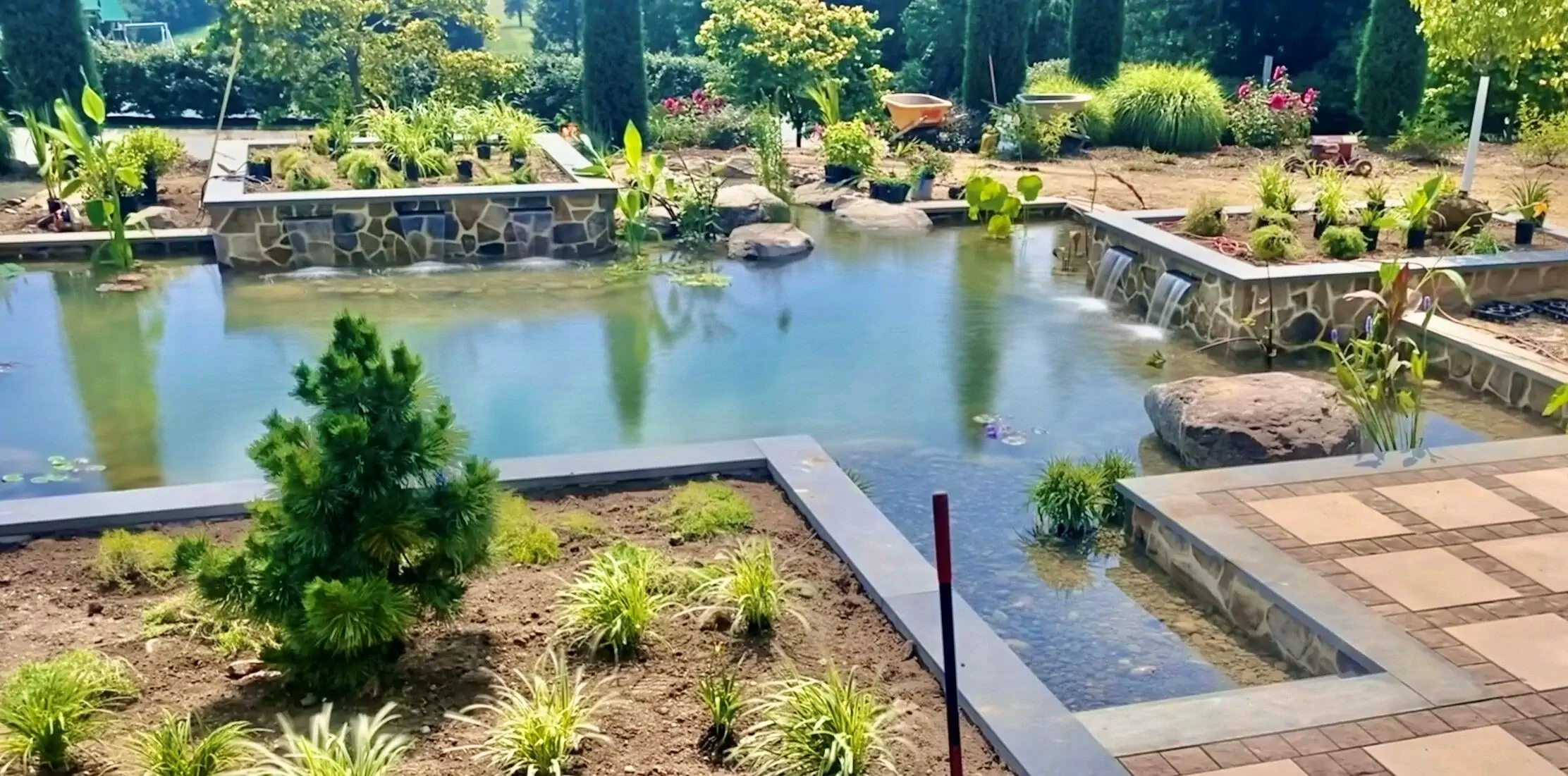 recreation swim pond memphis water gardens 3