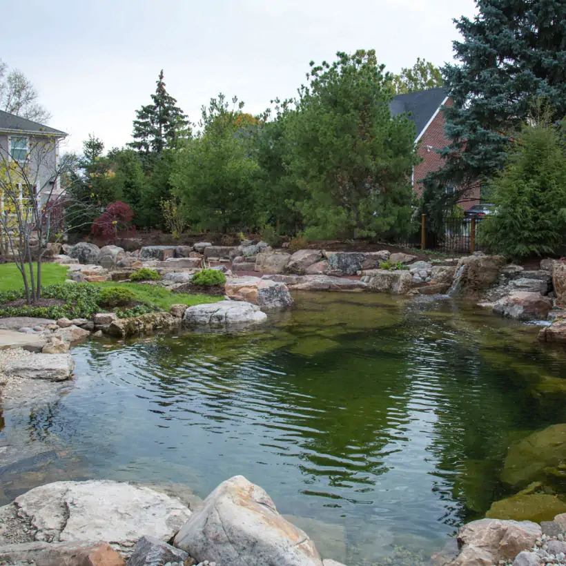 recreation swim pond memphis water gardens 4