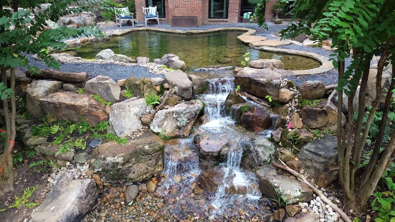 swim pond maintenance plans memphis water gardens with waterfall and water features