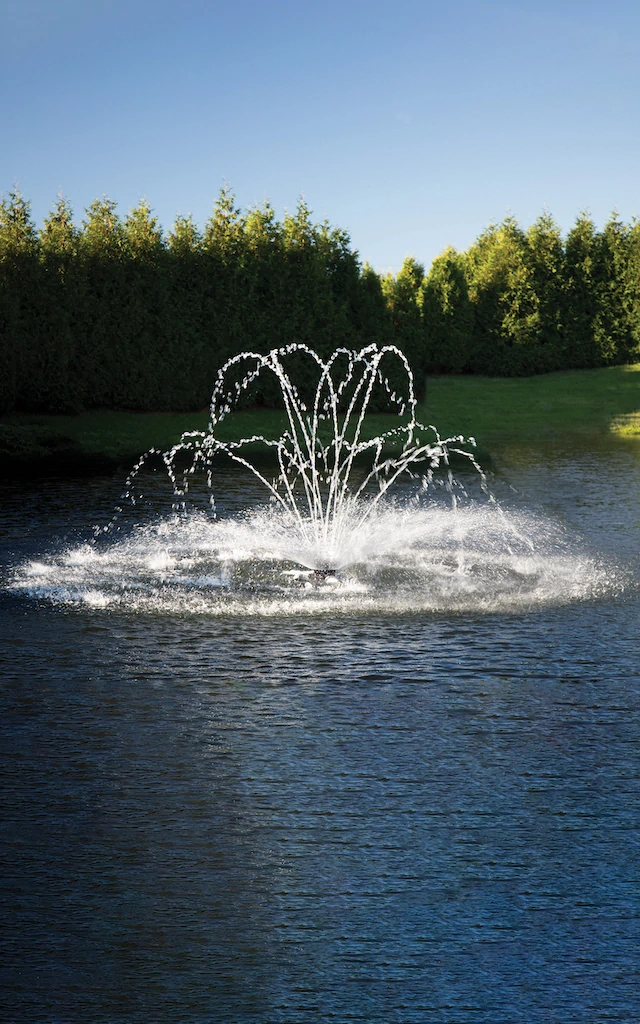 aerating lake fountains memphis water gardens 5