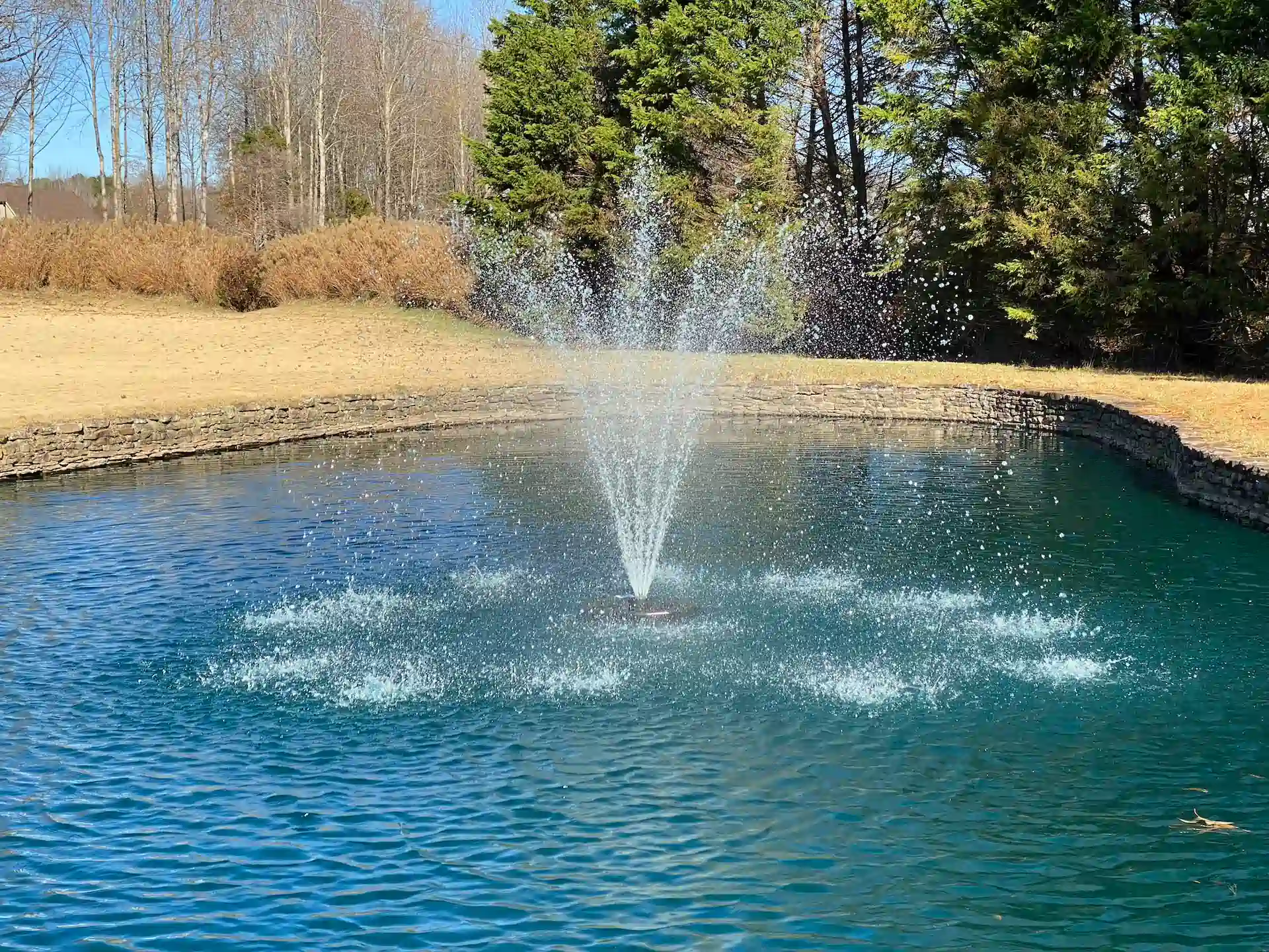 decorative lake fountains memphis water gardens 1