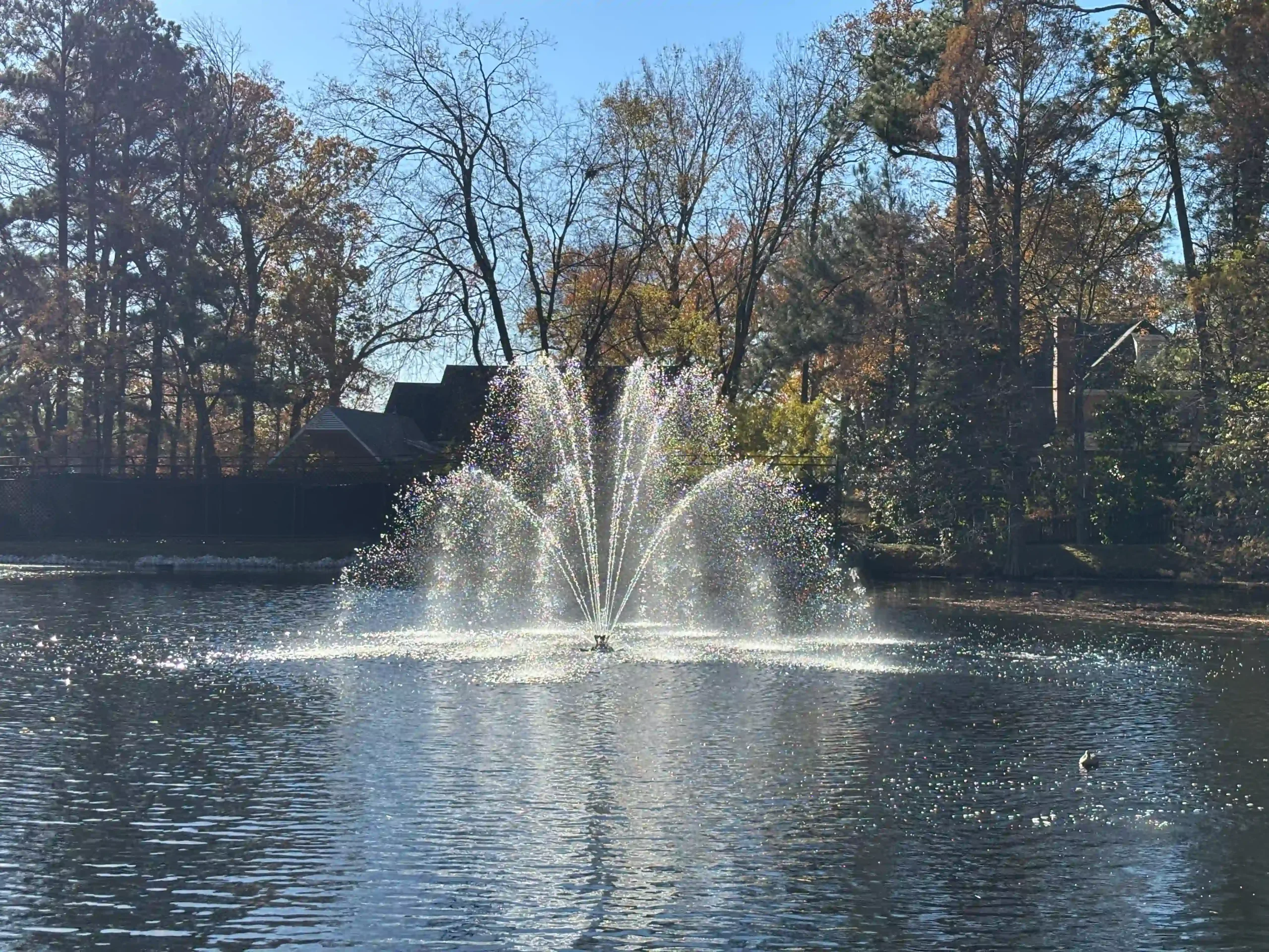 decorative lake fountains memphis water gardens 6