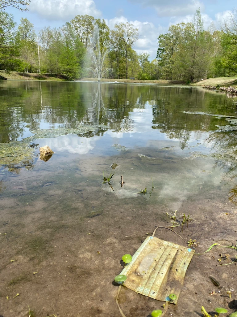 invasive weed control memphis water gardens 1