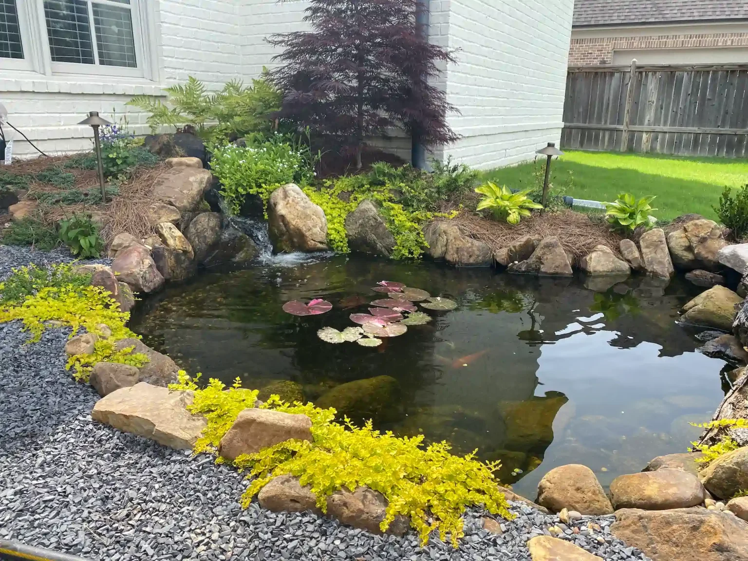 portfolio backyard ecosystem pond in collierville memphis water gardens 4