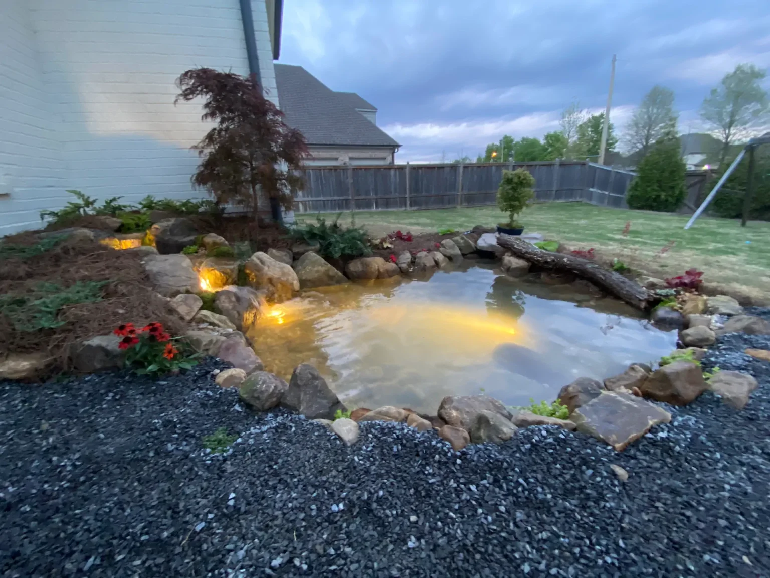 portfolio backyard ecosystem pond in collierville memphis water gardens 6