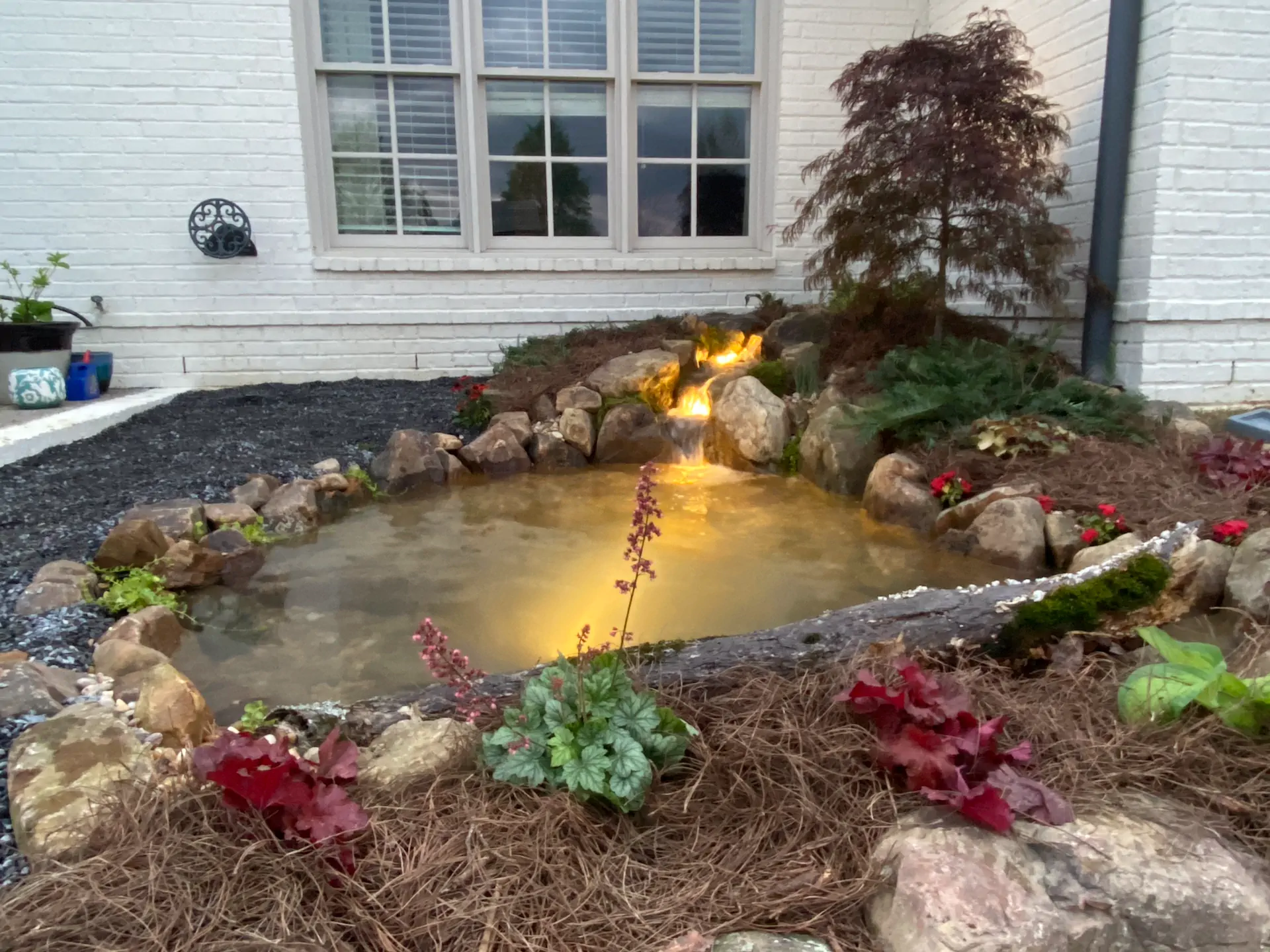 portfolio backyard ecosystem pond in collierville memphis water gardens 7