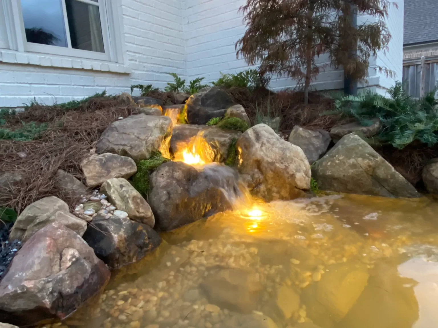 portfolio backyard ecosystem pond in collierville memphis water gardens featured image