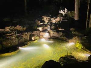 what affects the cost of pond construction memphis water gardens 1